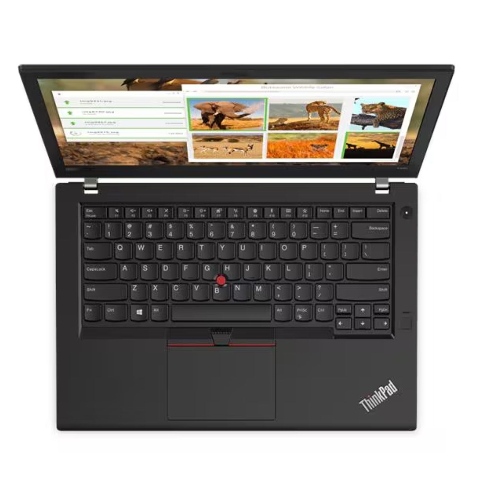 ThinkPad T480