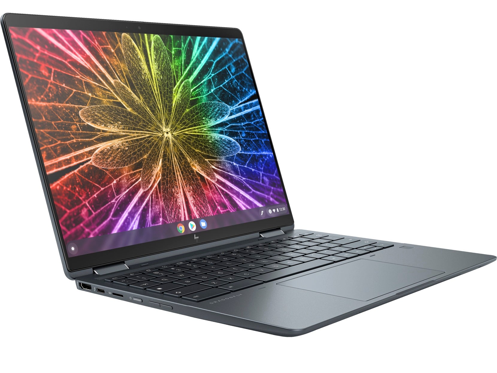 Elite Dragonfly Chromebook