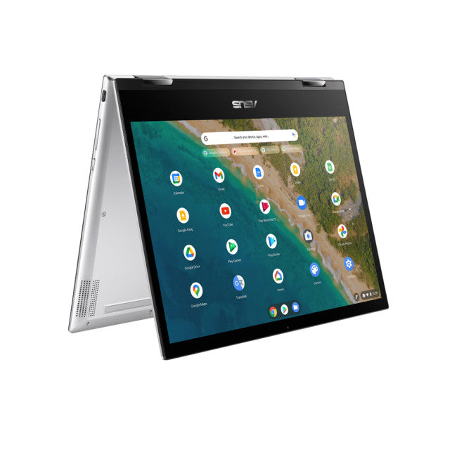 Chromebook Flip CM3