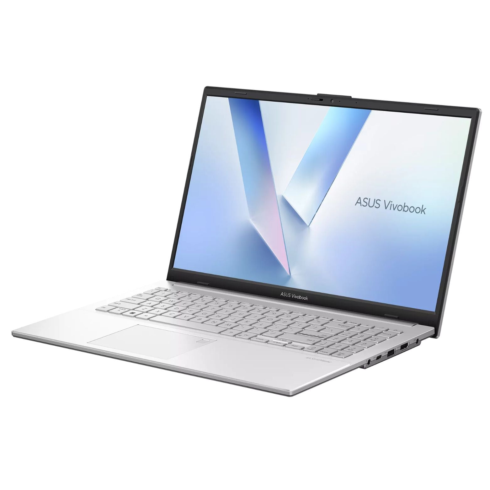 Vivobook Go