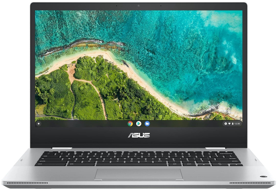 Chromebook Flip CM1