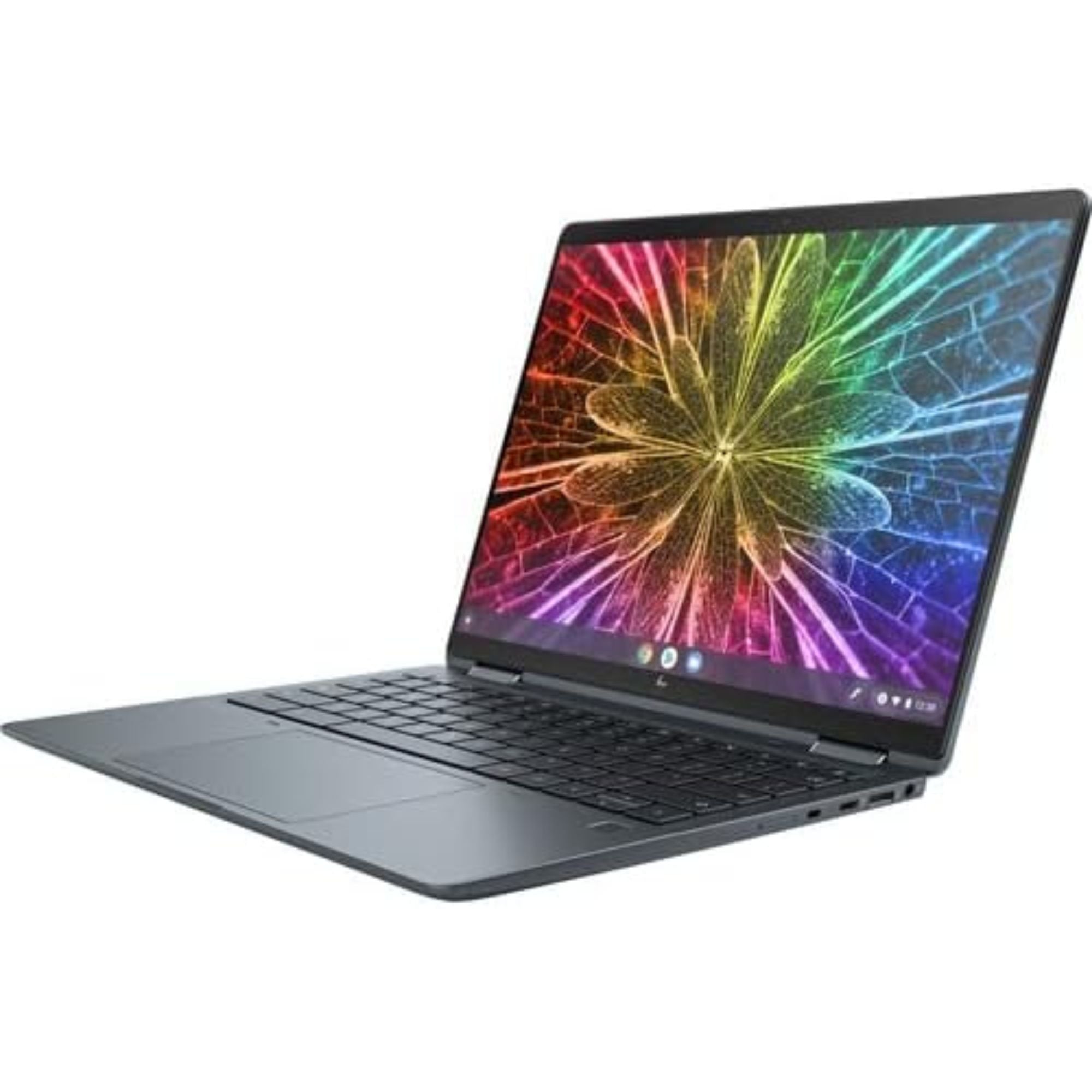 Elite Dragonfly Chromebook Enterprise