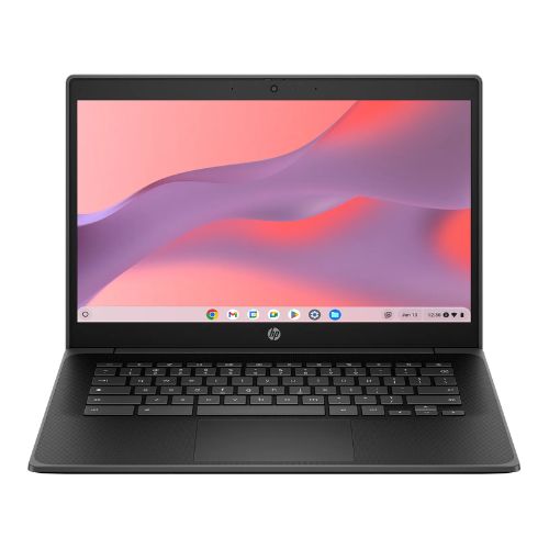 Fortis G1i