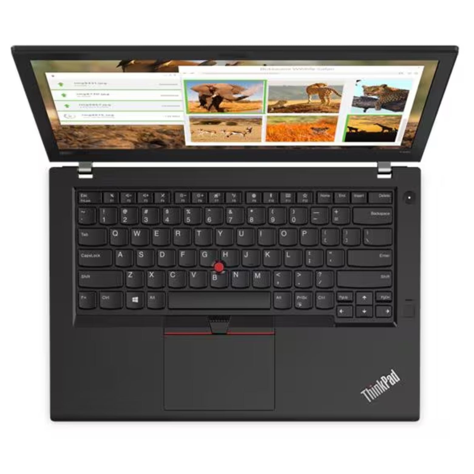 ThinkPad T480