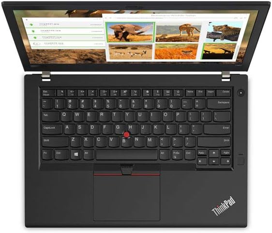 ThinkPad T480