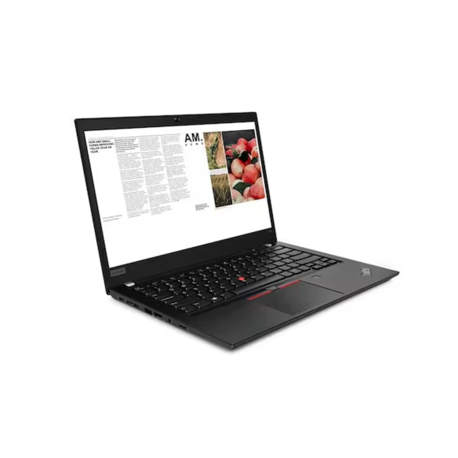 ThinkPad T490