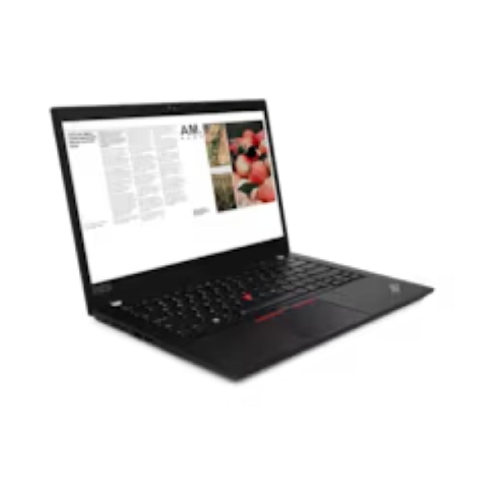 ThinkPad T14 Gen 2a