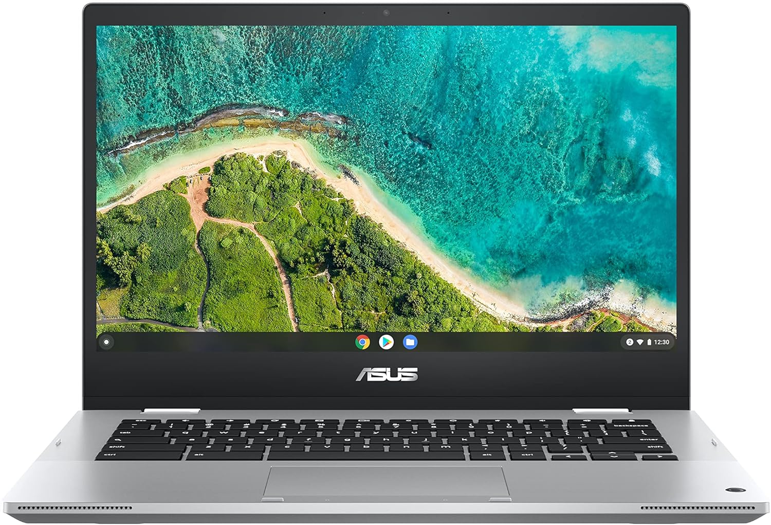 Chromebook Flip CM1