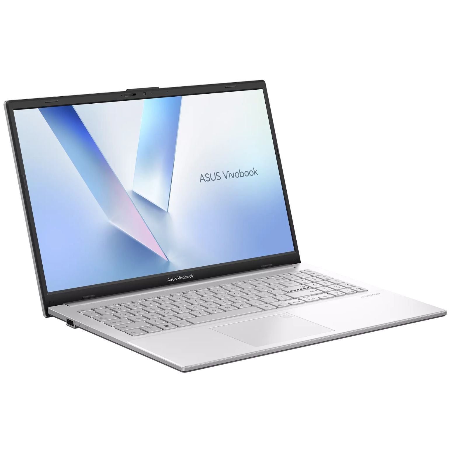 Vivobook Go