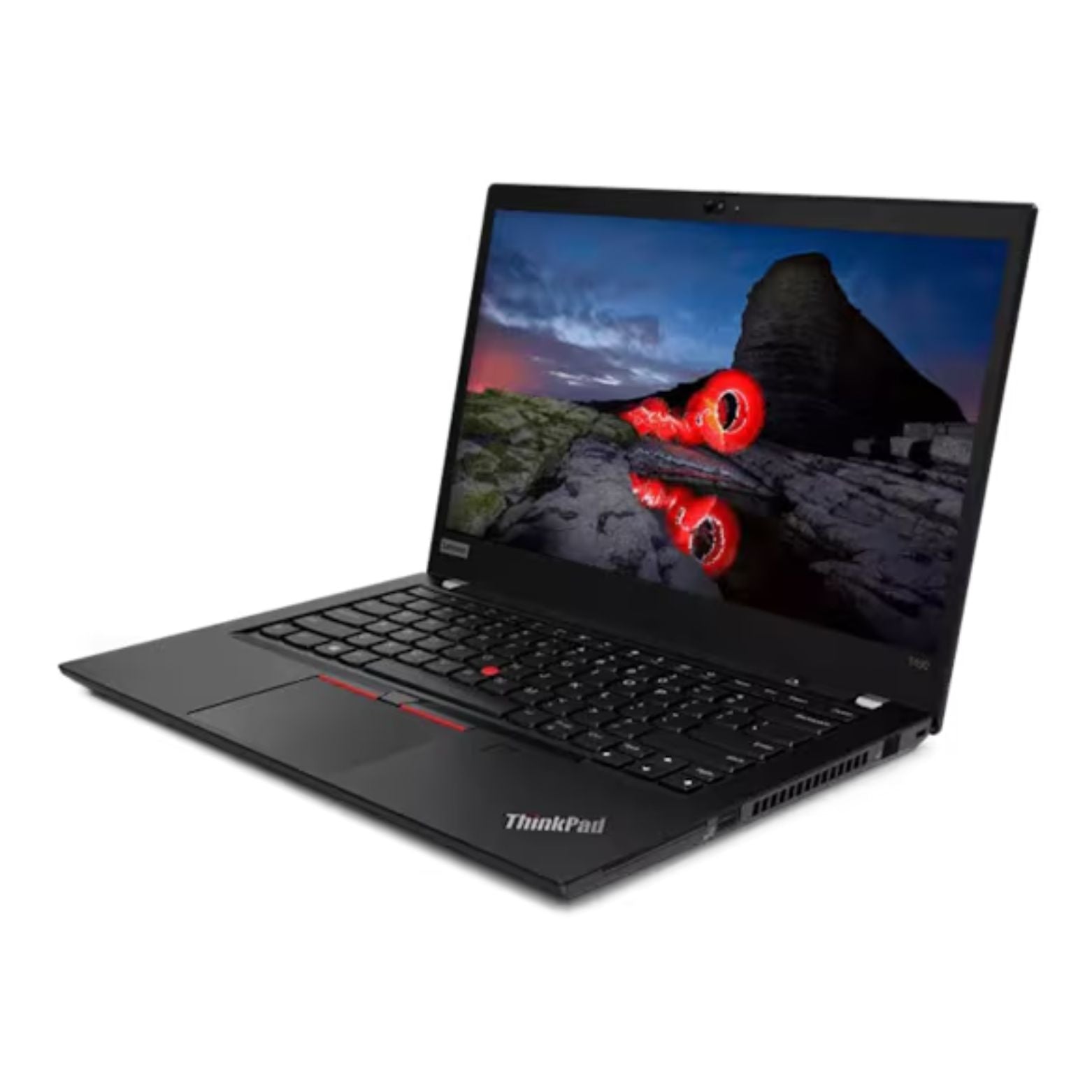 ThinkPad T490