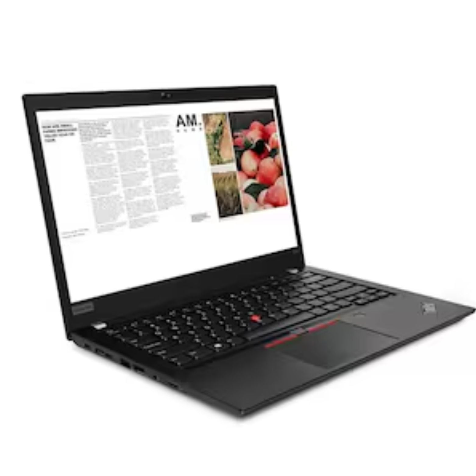 T490 ThinkPad