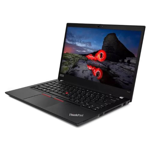 Thinkpad T490
