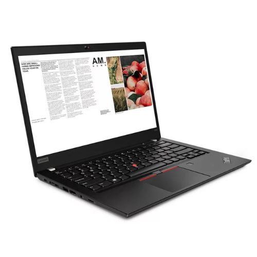 Thinkpad T490