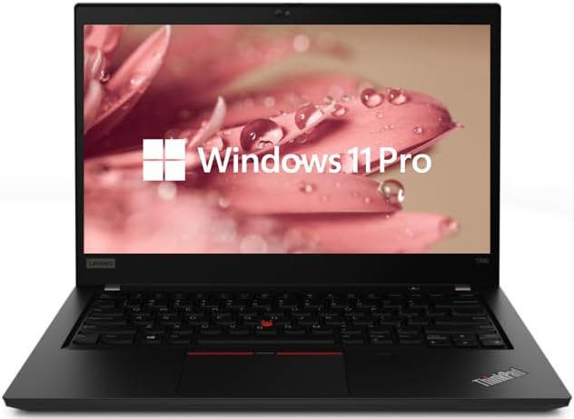 Thinkpad T490
