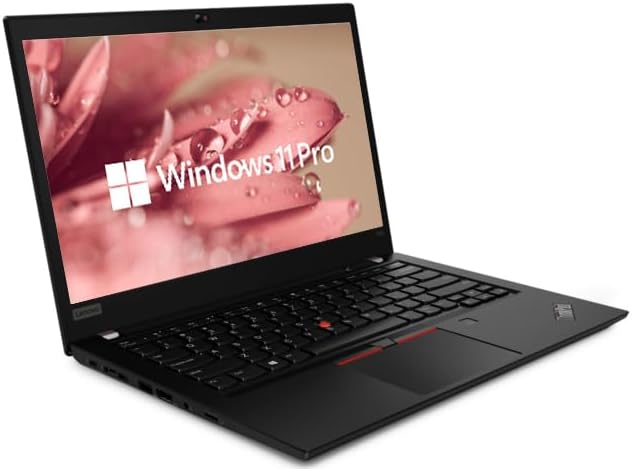 Thinkpad T490