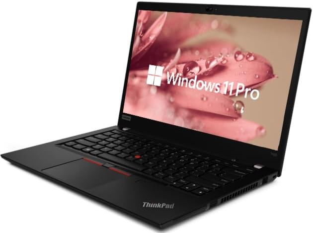 Thinkpad T490